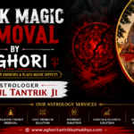 Black Magic Removal By Aghori