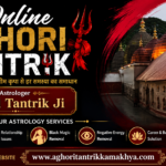 Online Aghori Tantrik
