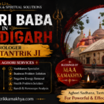 Aghori Baba In Chandigarh